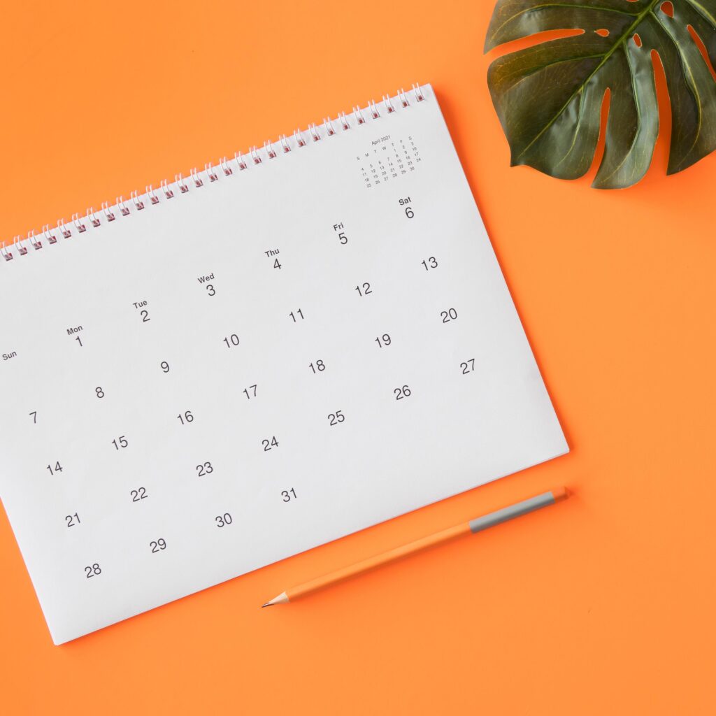 calendar with pencil monstera leaf