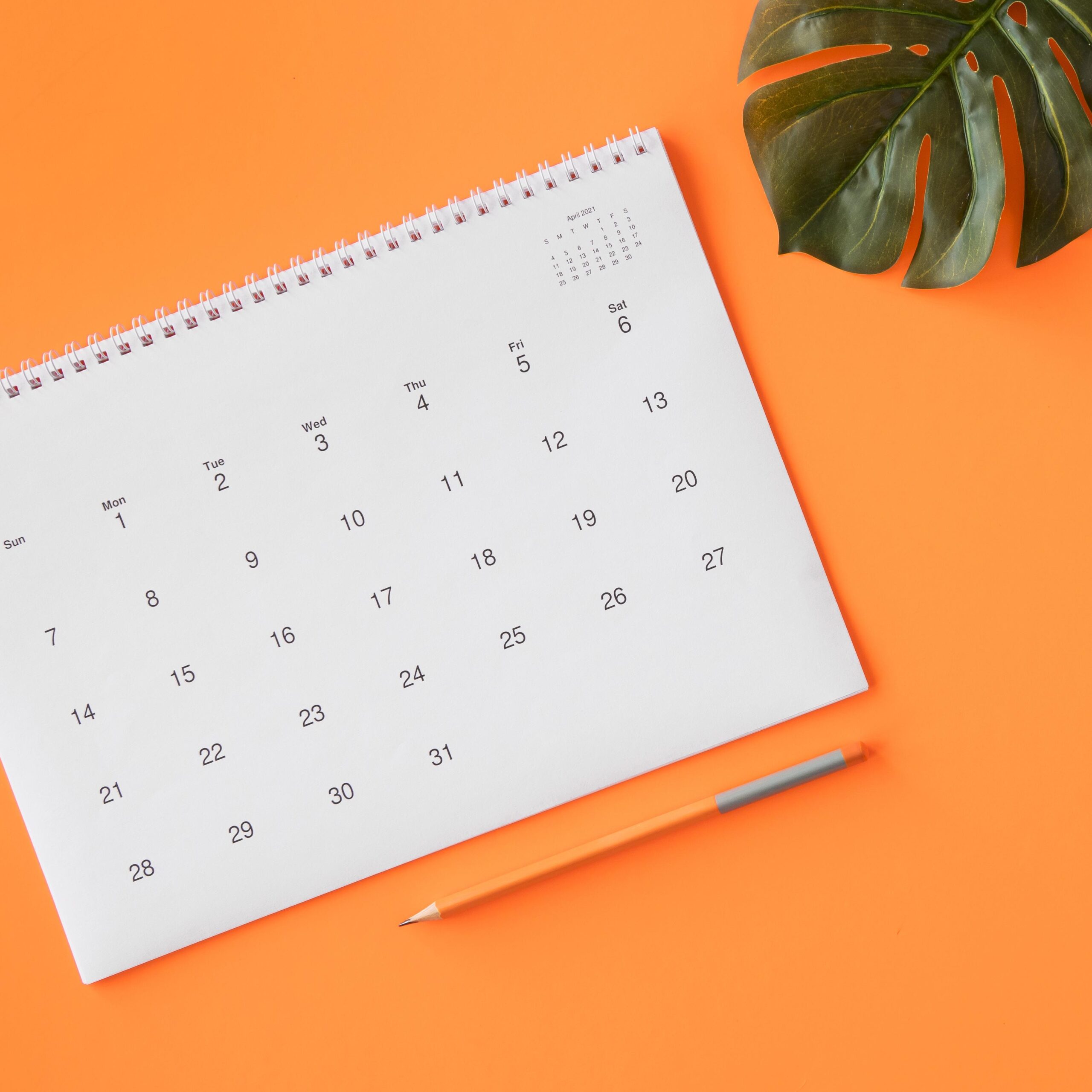 calendar with pencil monstera leaf